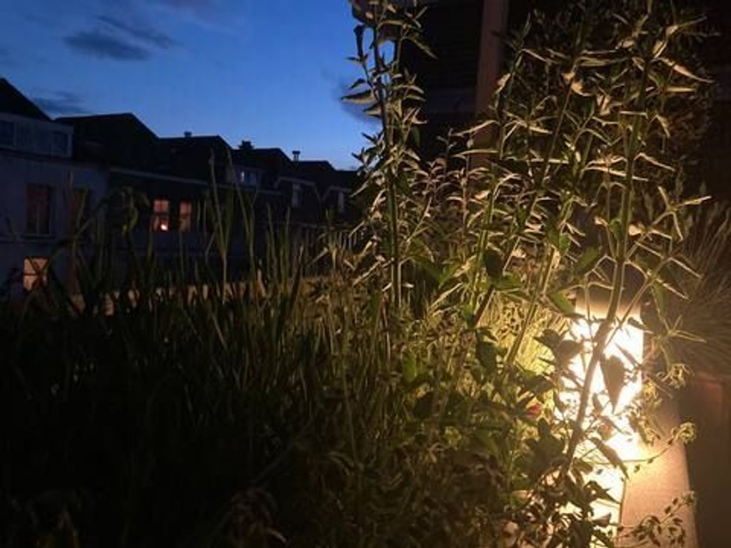 Heemskerckstraat 2 B, Den Haag foto-31