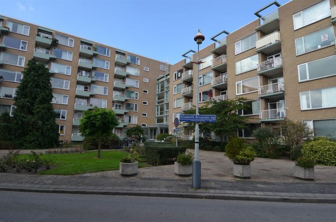 Elisabeth Brugsmaweg 1 508, Den Haag
