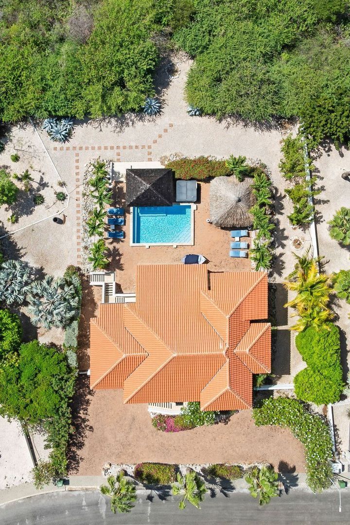 Coral Estate  43, Coral Estate foto-81
