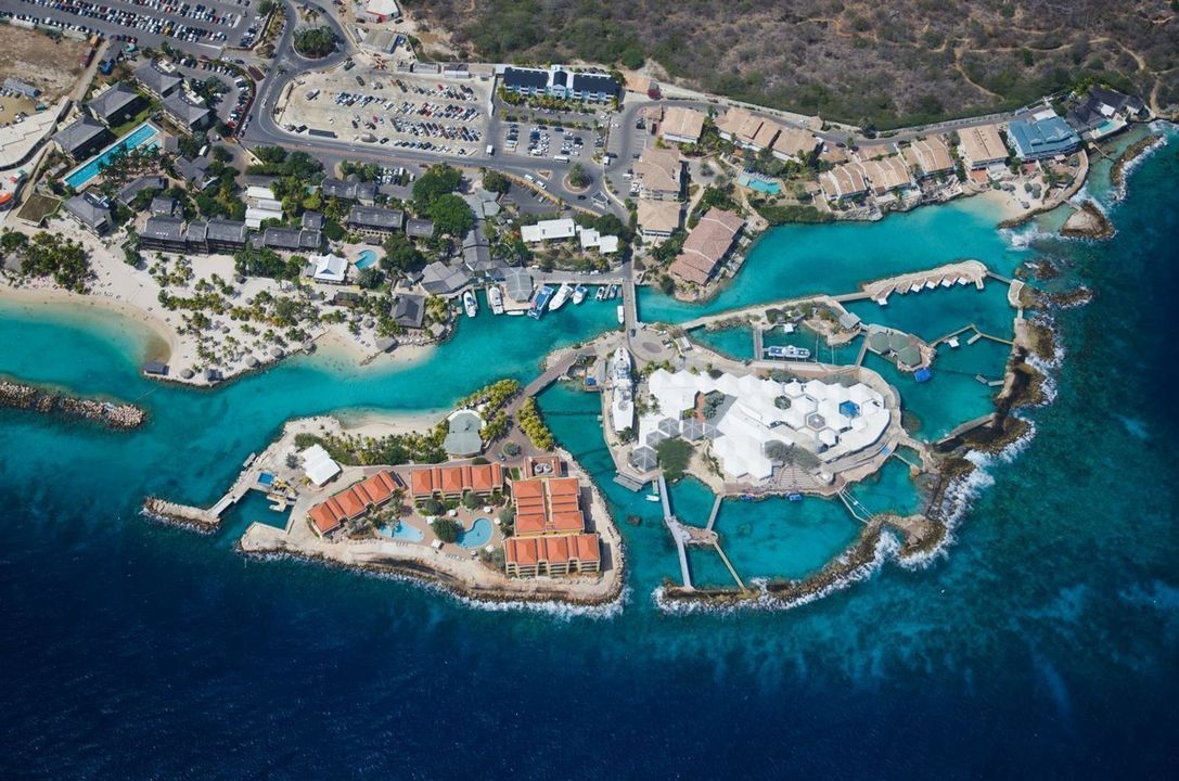 Ocean Resort  Penthouse, Mambo Beach foto-3