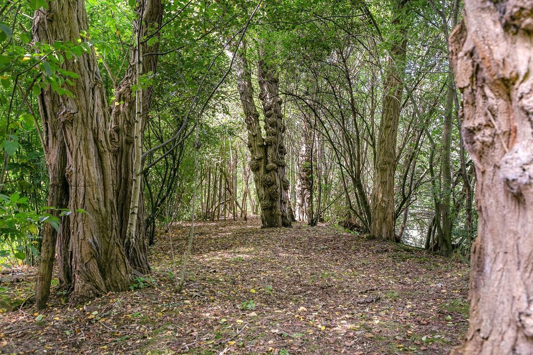 Keetweg 3, Heerde foto-65