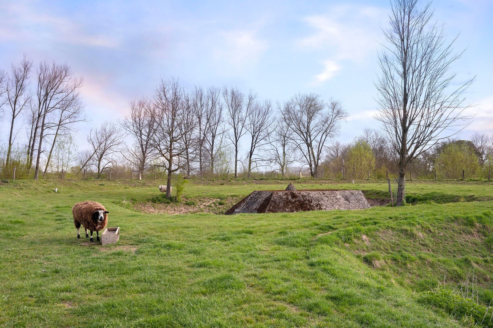 Noodweg 2, Everdingen foto-50