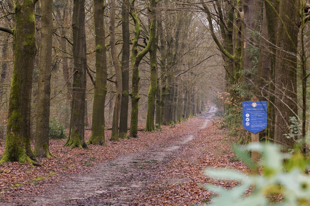 De Hoogt 2 - 4, Maarn foto-23
