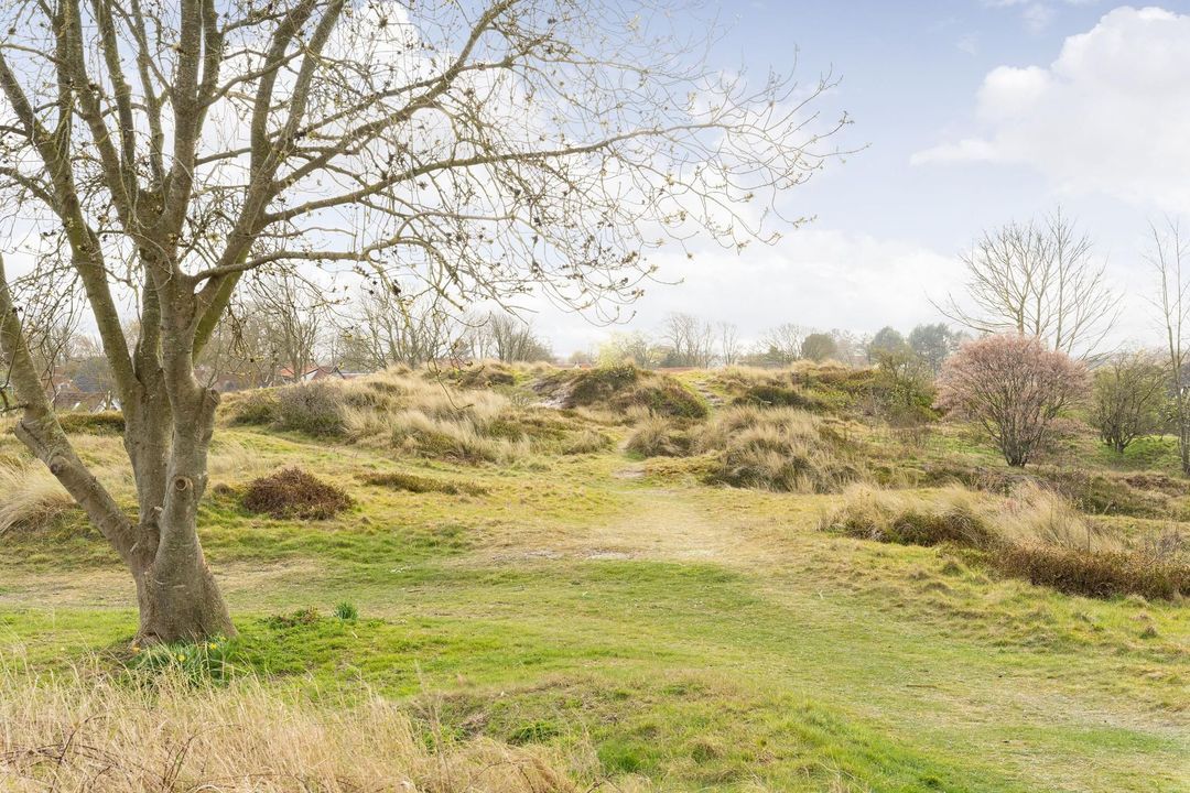 Torenstreek 22 0 ong, Schiermonnikoog foto-25