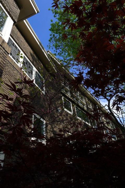 Gouwstraat 47, Rotterdam foto-2