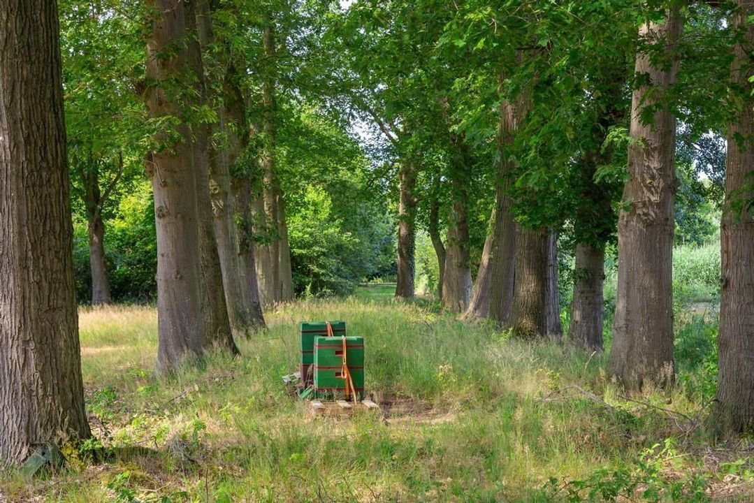 Heinoseweg 9, Zwolle foto-69