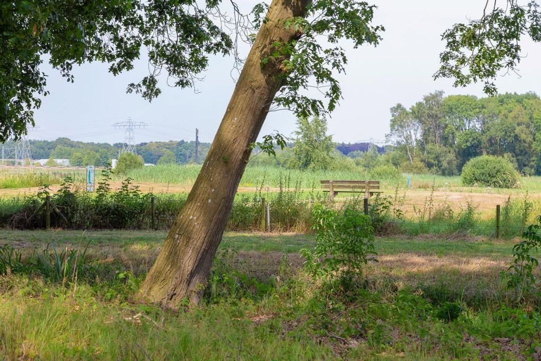 Heinoseweg 9, Zwolle foto-70