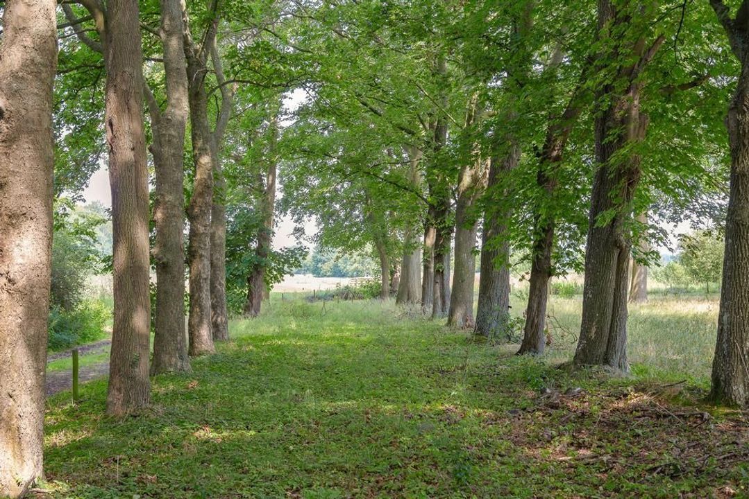 Heinoseweg 9, Zwolle foto-71