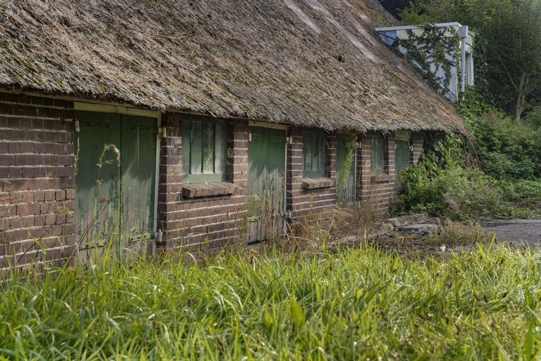 Oude Nijkerkerweg 50, Ermelo foto-7
