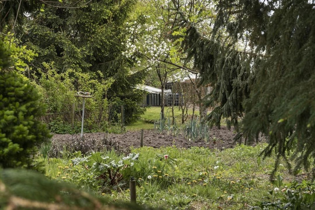 Oud Veeningen 10, Veeningen foto-52