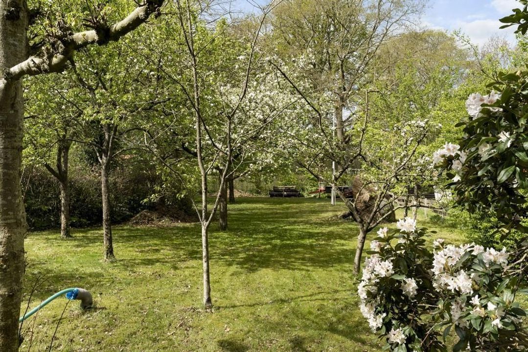 Oud Veeningen 10, Veeningen foto-58