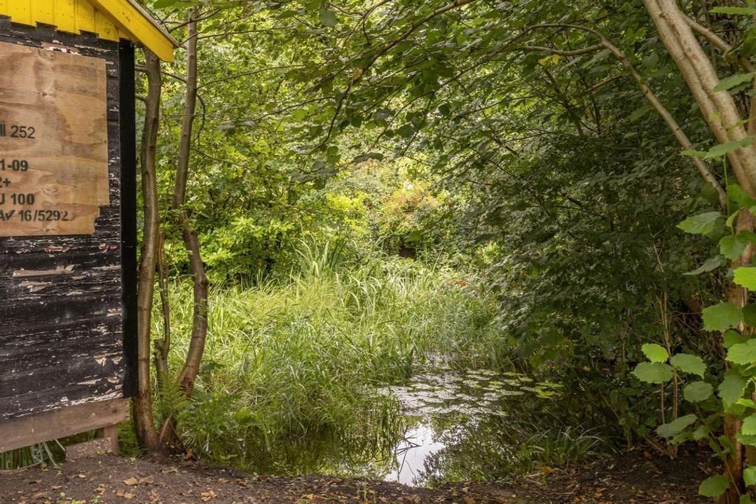 Domela Nieuwenhuisweg 29, Nij Beets foto-3