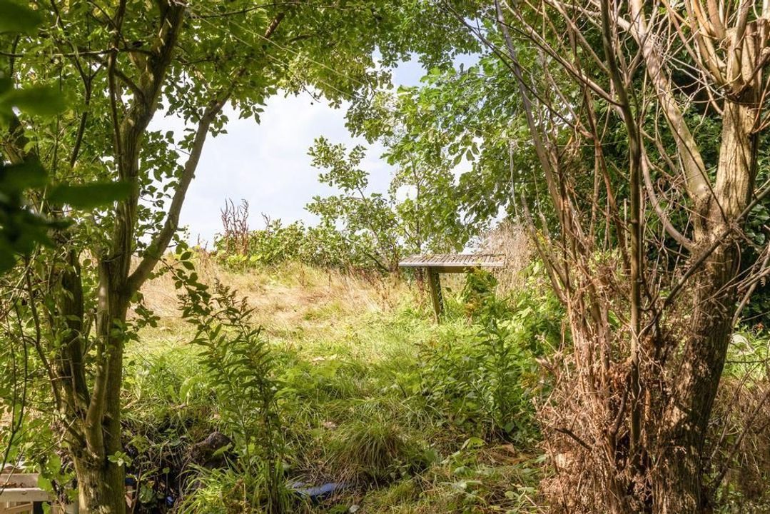 Domela Nieuwenhuisweg 29, Nij Beets foto-47