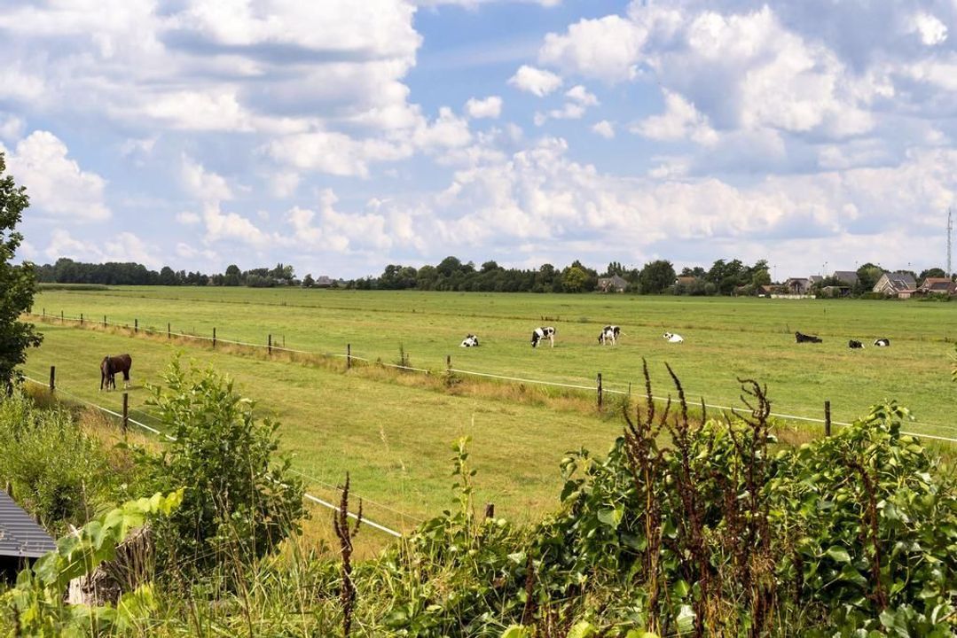 Domela Nieuwenhuisweg 29, Nij Beets foto-48