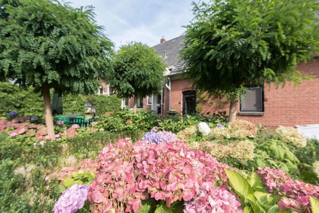 Zuiderdiep 279, Valthermond foto-10