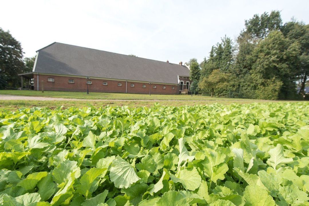 Zuiderdiep 279, Valthermond foto-19