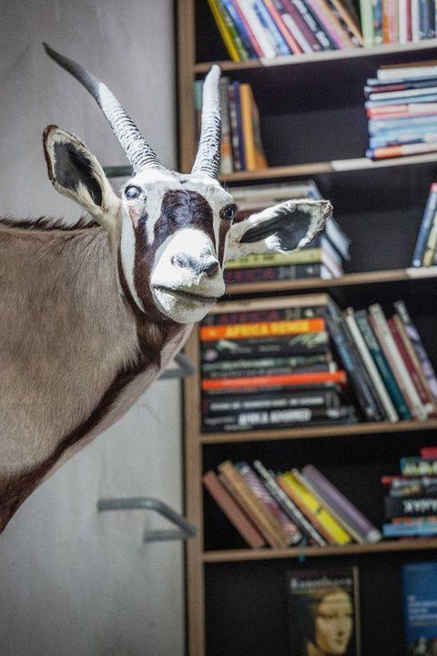 IJzeren Veldweg 3, Huizen foto-34