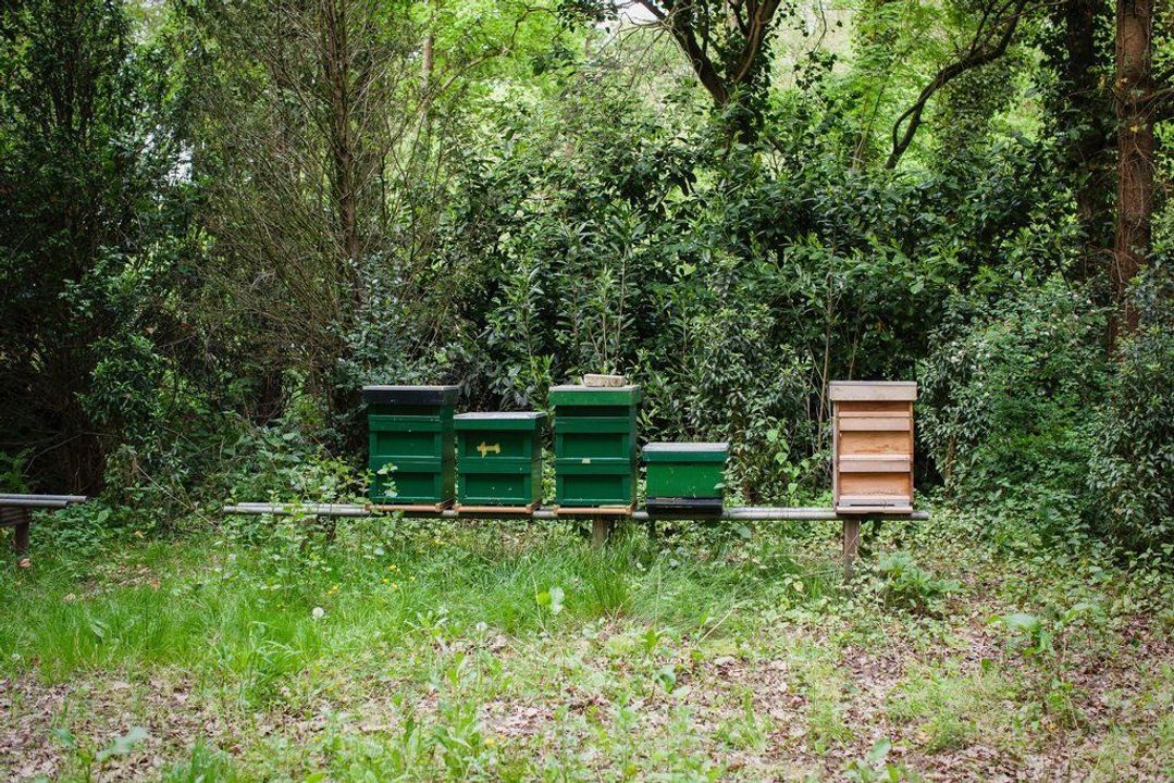 IJzeren Veldweg 3, Huizen foto-57