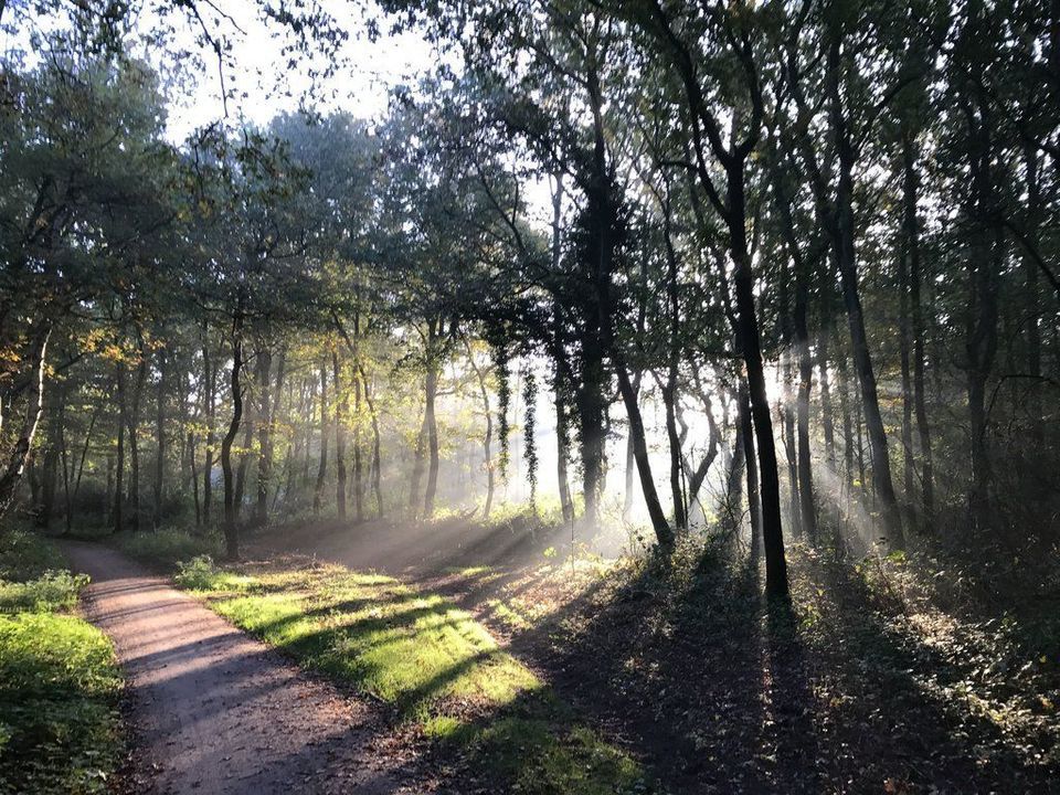 IJzeren Veldweg 3, Huizen foto-59