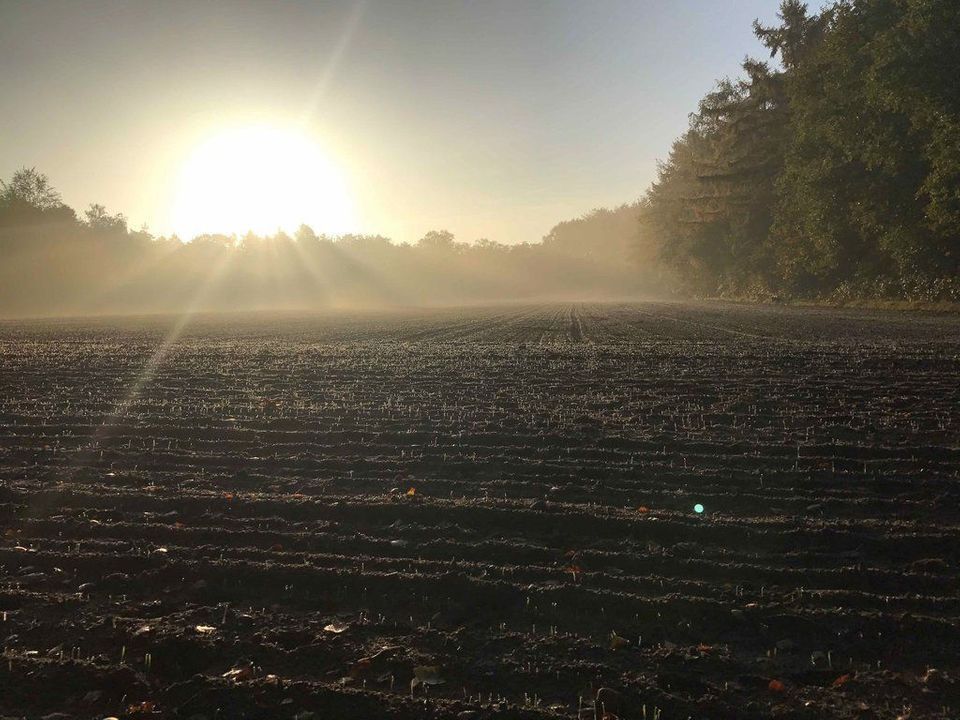 IJzeren Veldweg 3, Huizen foto-60
