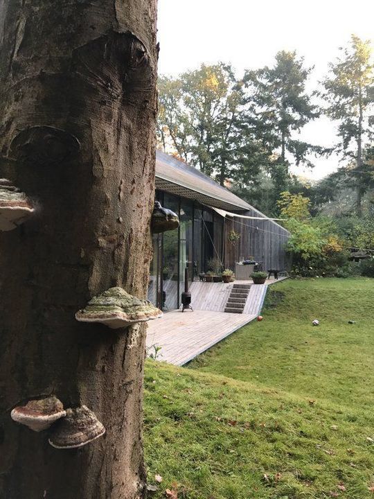 IJzeren Veldweg 3, Huizen foto-61