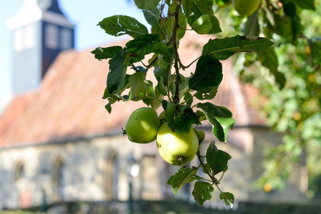 Buren 25, Piaam foto-45