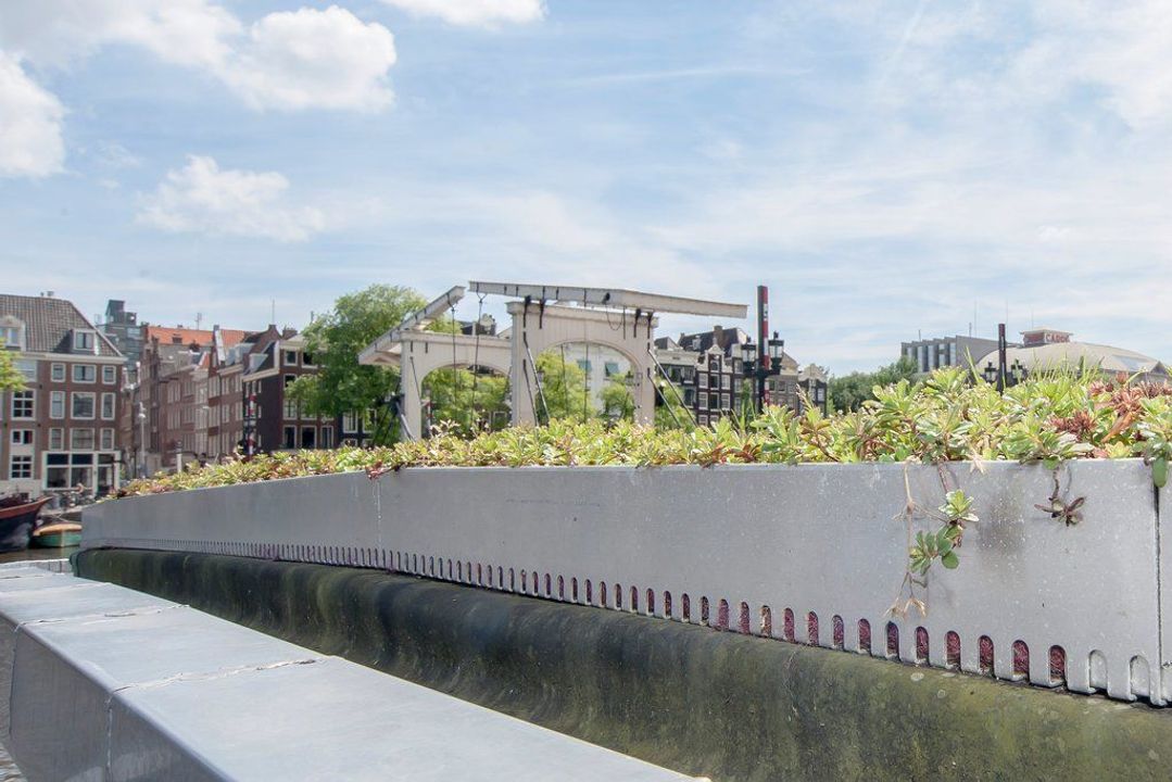 Amstel 256 L, Amsterdam foto-31