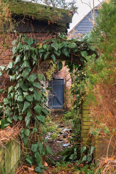 Graafdijk-oost 6, Molenaarsgraaf foto-7