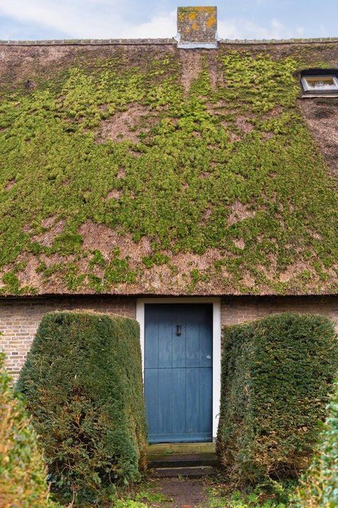 Graafdijk-oost 6, Molenaarsgraaf foto-11