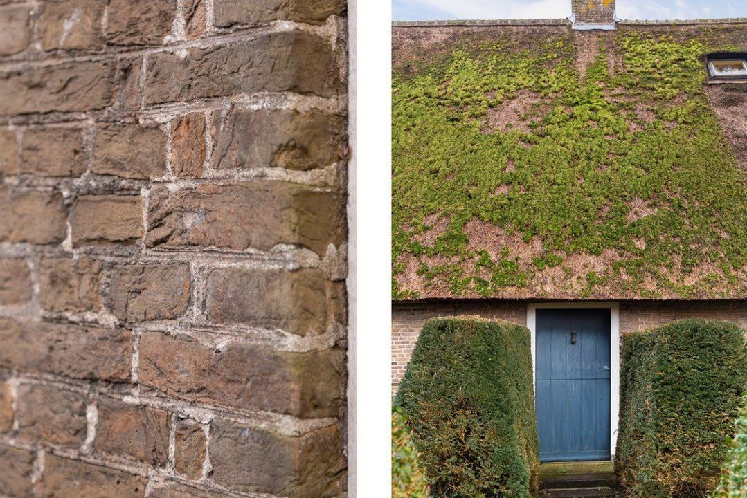 Graafdijk-oost 6, Molenaarsgraaf foto-12