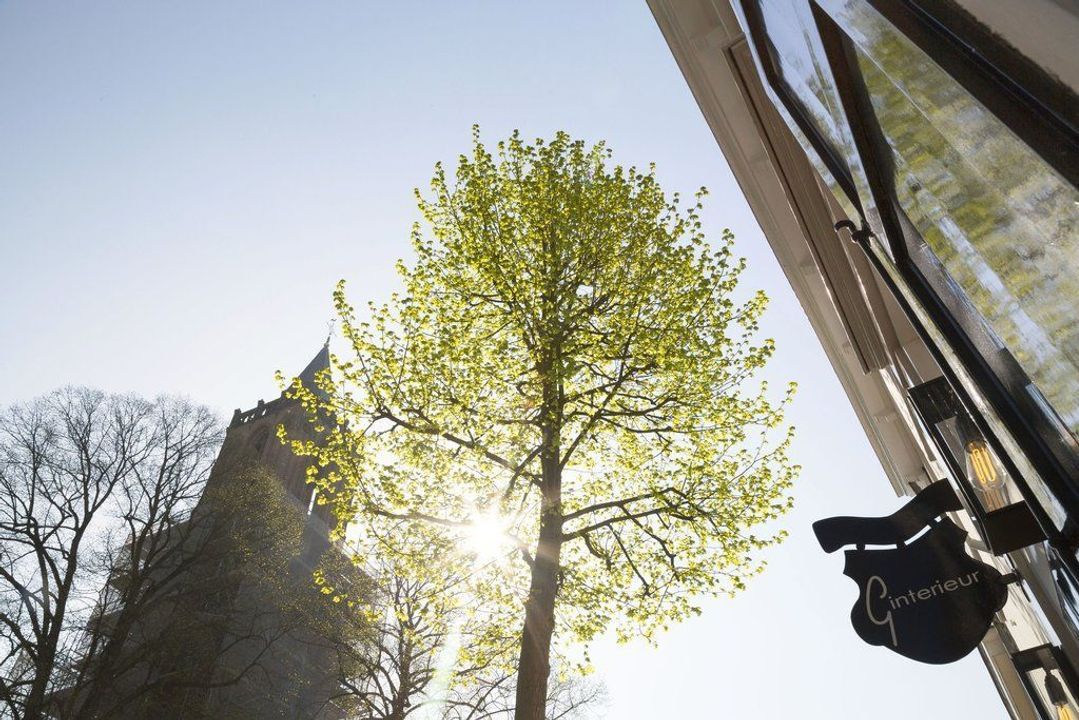 Hof 7, Amerongen foto-54