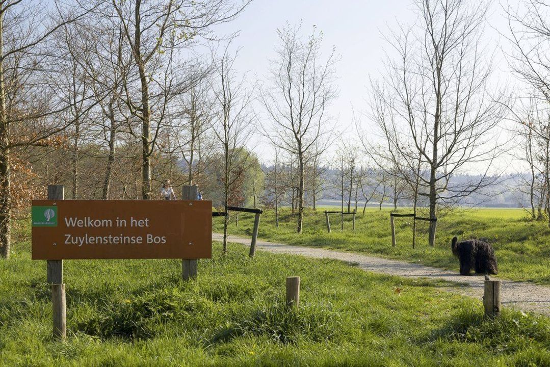 Hof 7, Amerongen foto-56