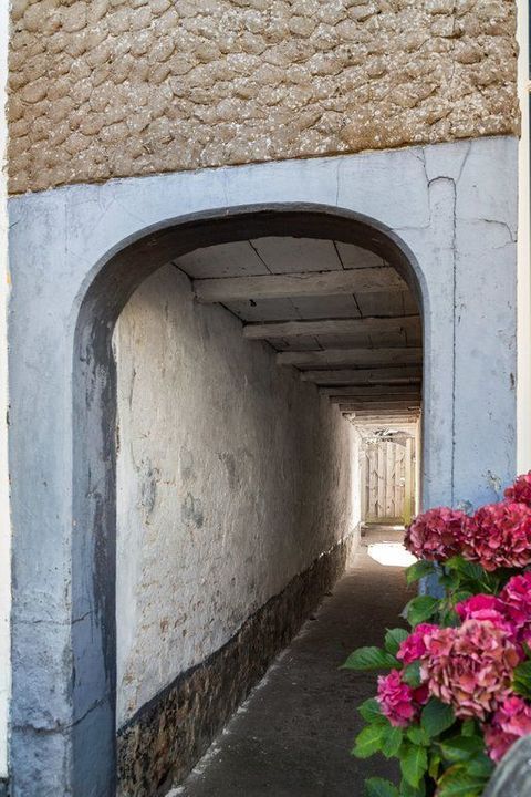 Brink 5, Langbroek foto-50