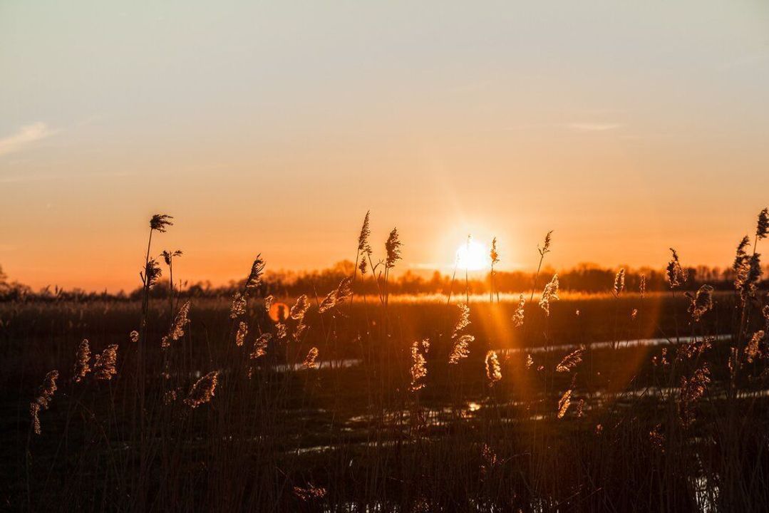 Kolderveen 26 D, Nijeveen foto-56