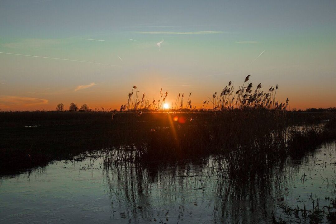 Kolderveen 26 D, Nijeveen foto-57
