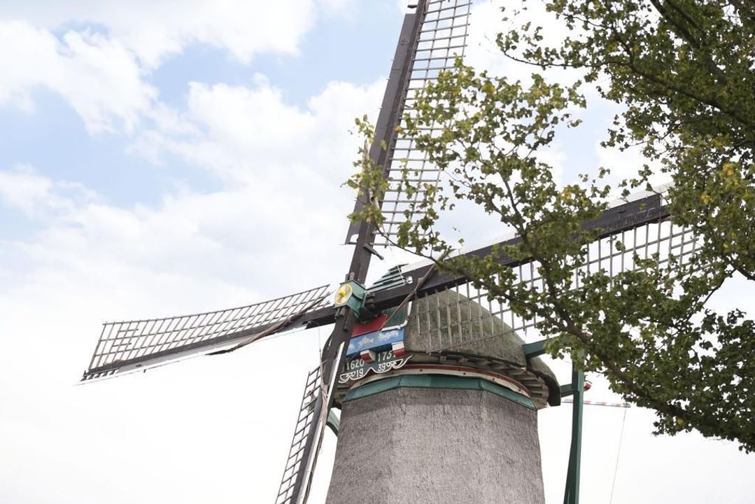 Museumlaan 18, Koog Aan De Zaan foto-57