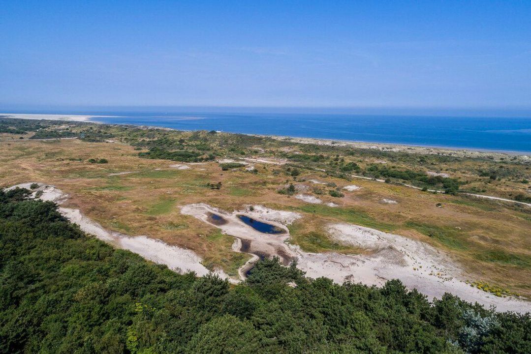 Duinwekken 10 AB, Renesse foto-59