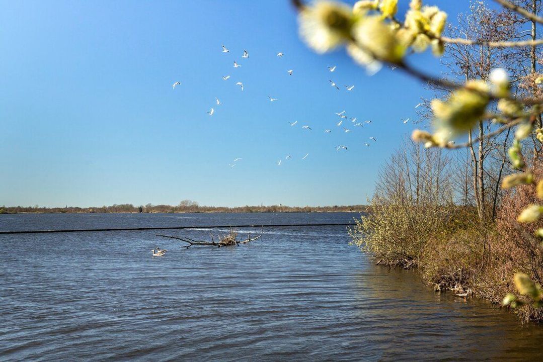 Nieuw Loosdrechtsedijk 0 ong, Loosdrecht foto-16