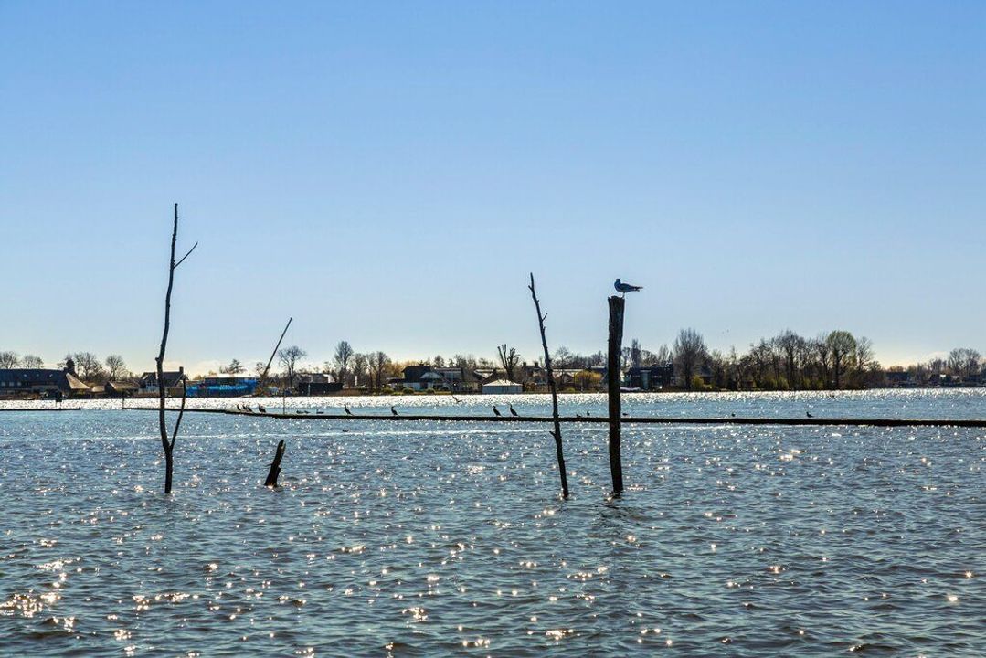 Nieuw Loosdrechtsedijk 0 ong, Loosdrecht foto-17