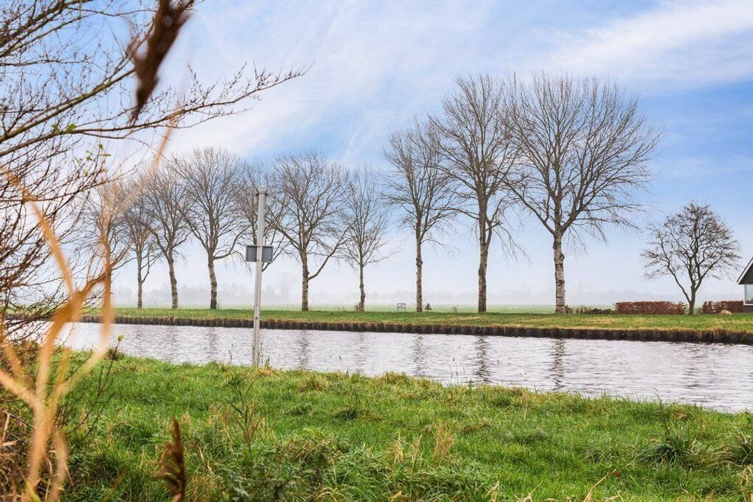 Groningerstreek 12, Stroobos foto-5