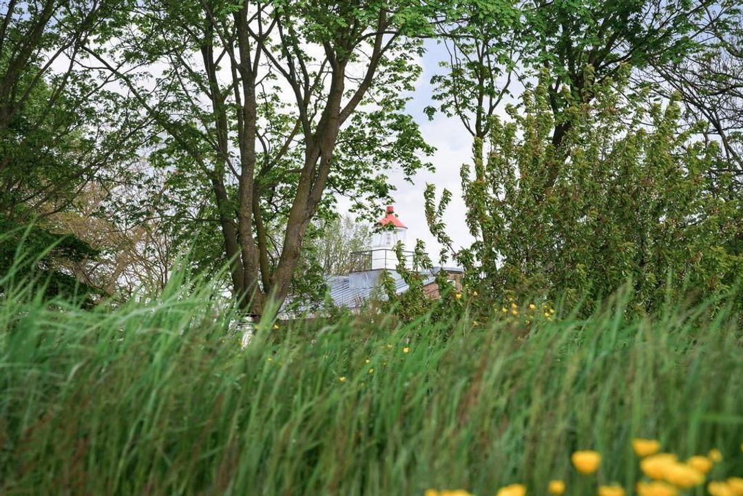 Zwartemeerweg 23, Kraggenburg foto-9
