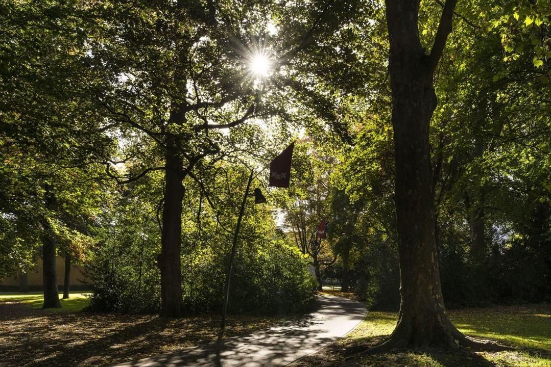 Kapucijnenhof 2, Breda foto-54