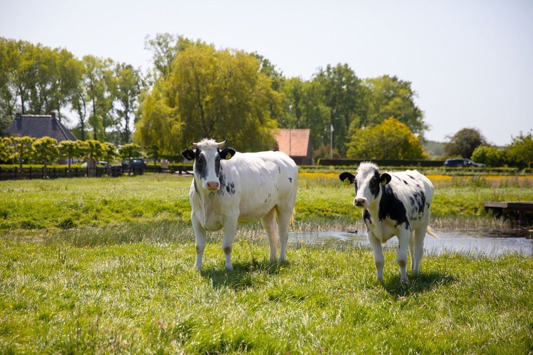 Singel 15, Sluis foto-61