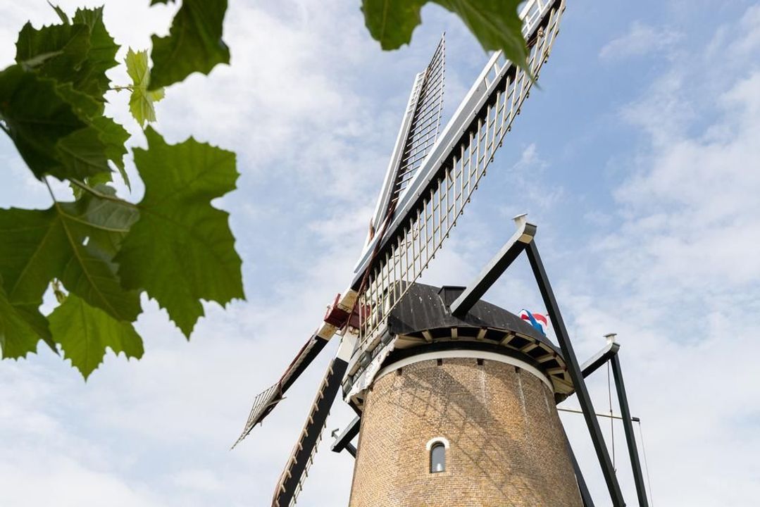 Noordwal 3, Brouwershaven foto-71