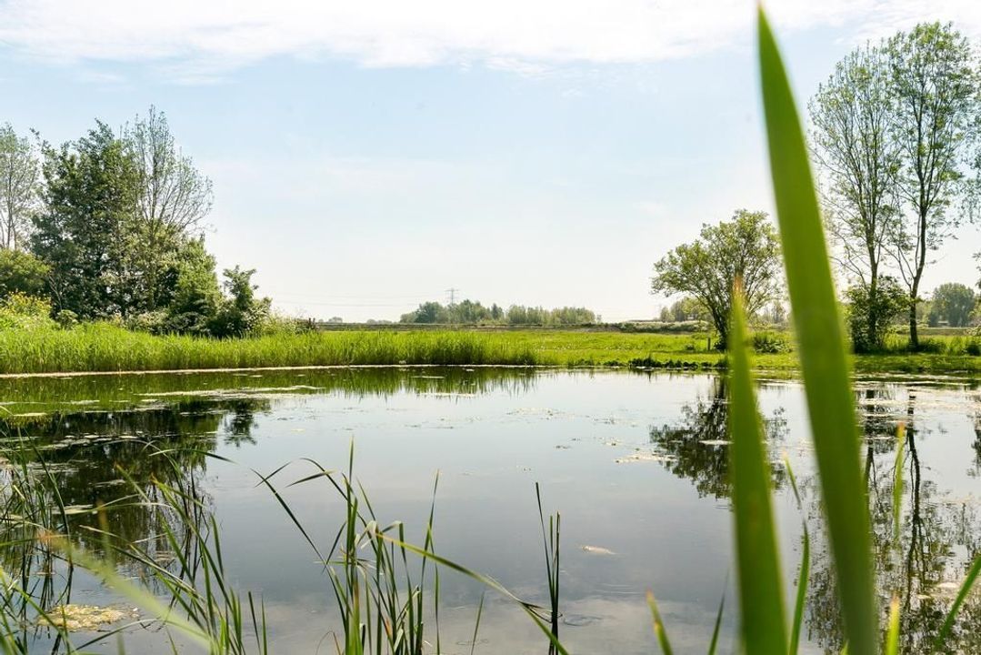 Suorein 6, Grou foto-3