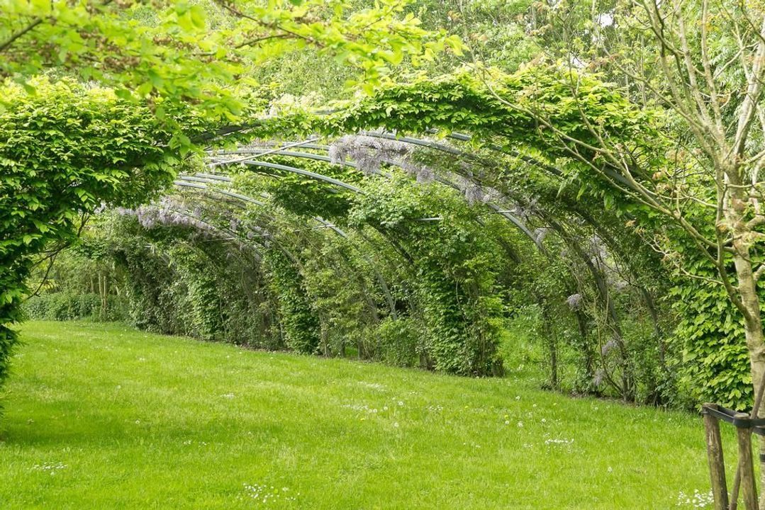 Suorein 6, Grou foto-38