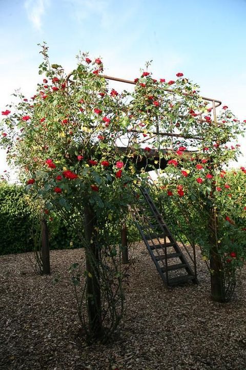 Suorein 6, Grou foto-39