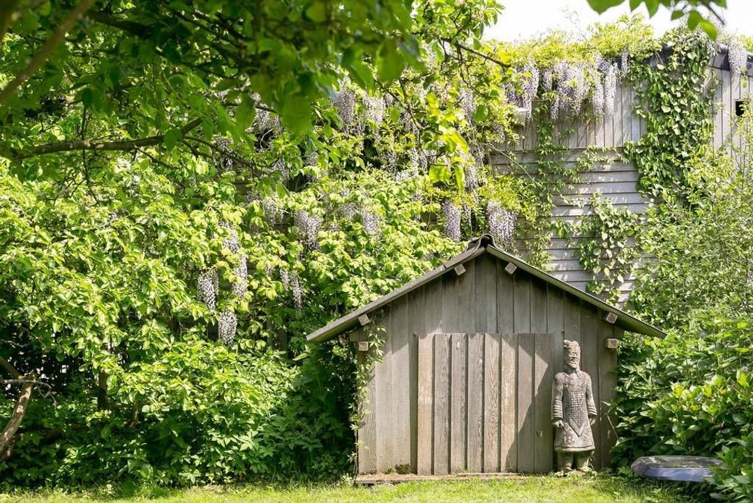 Suorein 6, Grou foto-34