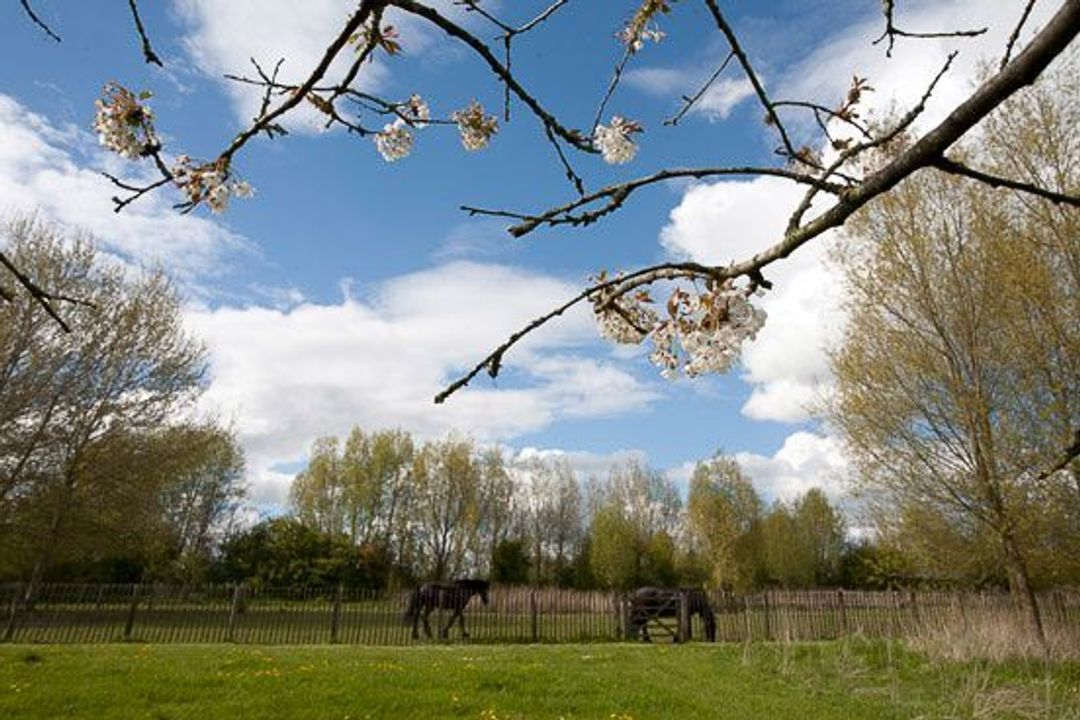 Suorein 6, Grou foto-36