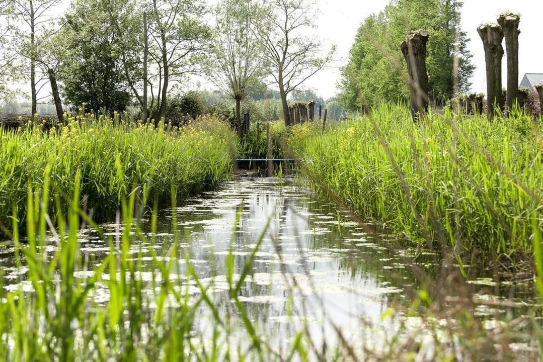 Suorein 6, Grou foto-42